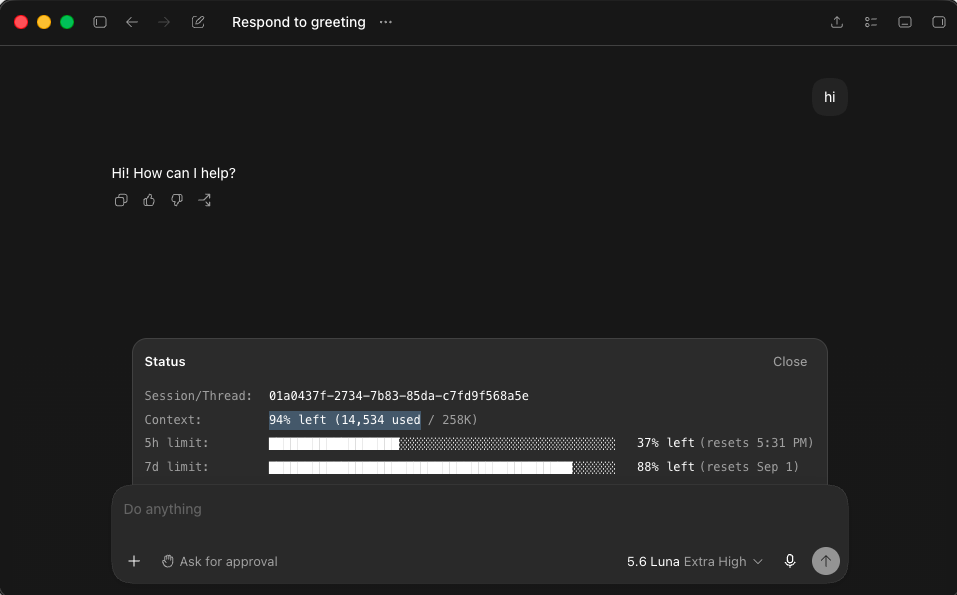 Codex session status showing 14,534 tokens consumed on turn zero from a simple greeting