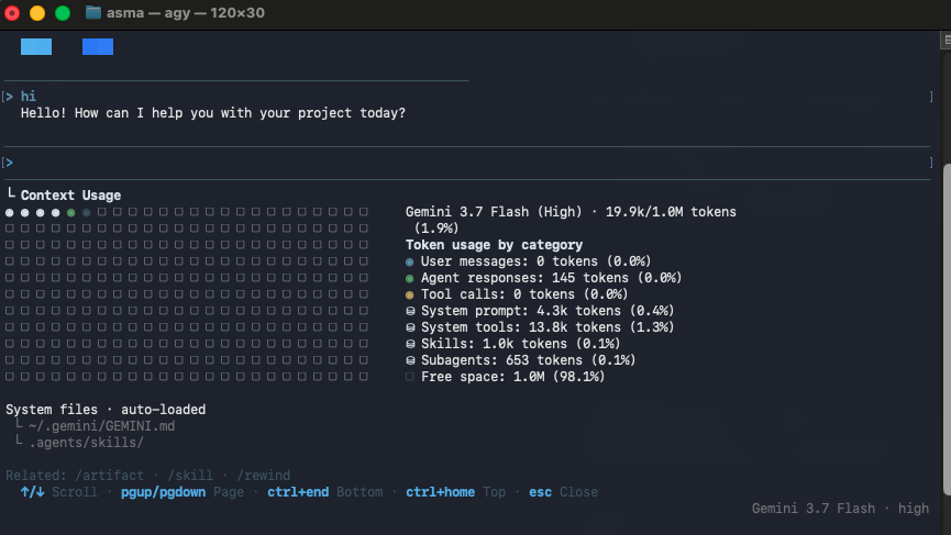 Antigravity CLI context usage telemetry showing 19.9k tokens consumed on turn zero